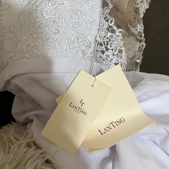 Wedding Dress - Picture 7 of 10